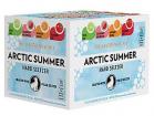 Arctic Summer - The Daytripper Variety (12 pack 12oz cans)